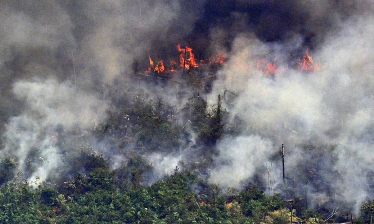 Quatro estados pedem ajuda ao Governo Federal para combater incêndios