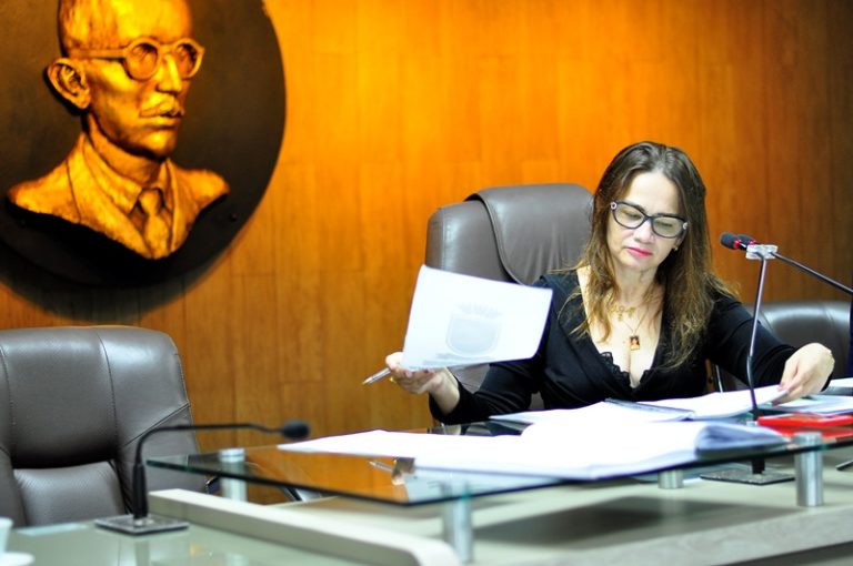 Transparência: CMCG já digitalizou mais de 50 mil projetos, requerimentos e leis