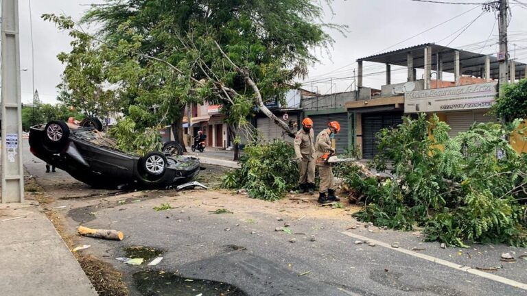 Veículo capota, colide com árvore e interdita avenida em Campina Grande