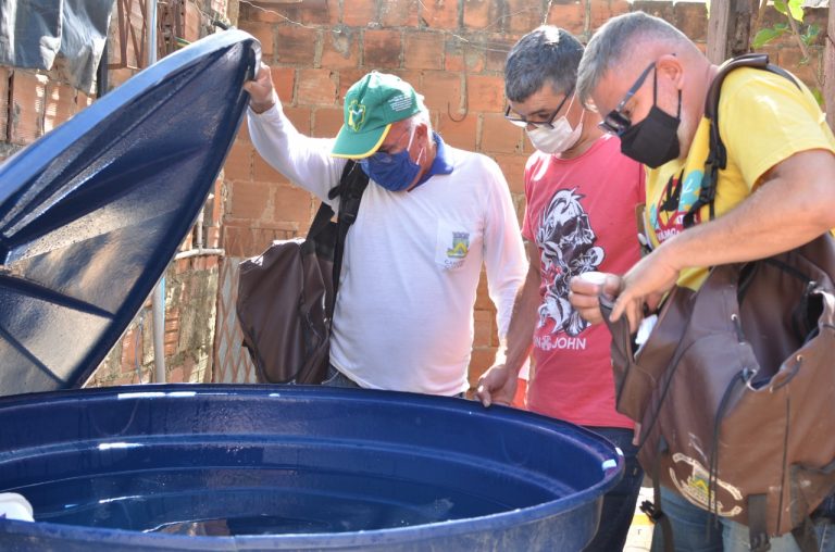 Campina Grande continua com alto risco de proliferação do mosquito da dengue e de outras doenças, aponta levantamento