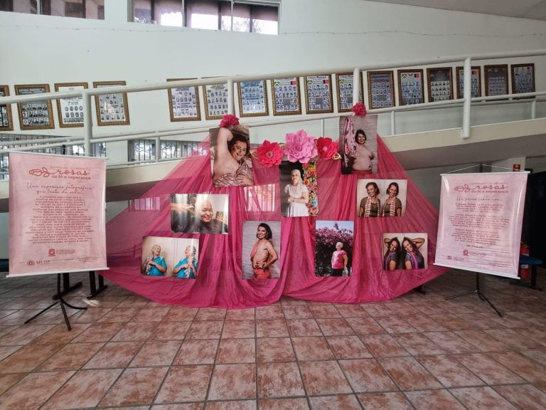 Exposição fotográfica na CMCG leva conscientização sobre Outubro Rosa, lembra vereadora Carol Gomes