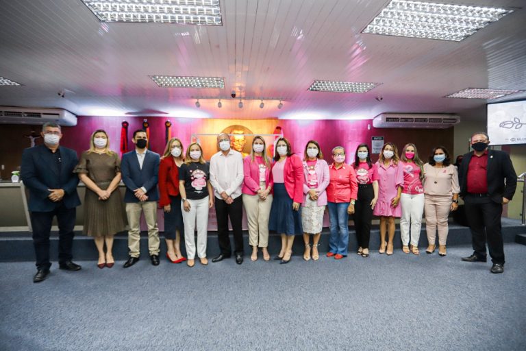 Reflexões sobre o câncer de mama: I Seminário Outubro Rosa é realizado na CMCG