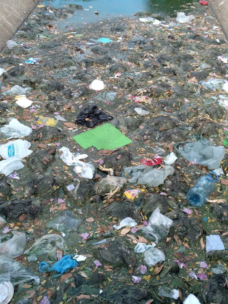 CRIME AMBIENTAL: PMCG investiga quem jogou frangos mortos no Canal da FIEP