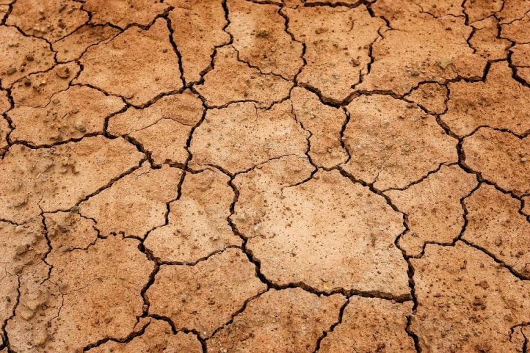 Município sertanejo entra em situação de emergência por conta da seca