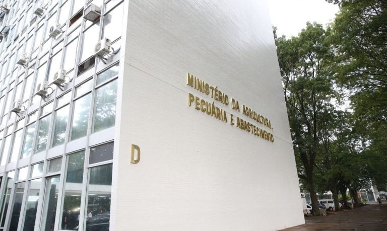 “Petisco da morte”: Ministério interdita fábrica de rações após morte de cães em Minas Gerais e São Paulo