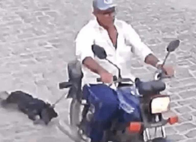 Homem amarra cachorro em moto e arrasta animal pelas ruas de São José da Mata, em Campina Grande