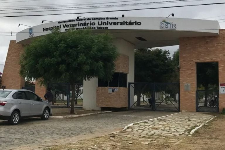 Cavalo morre com suspeita de raiva no Sertão da Paraíba