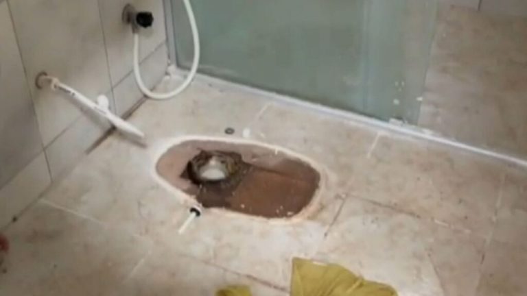 Criminosos arrombam casa e roubam vaso sanitário, torneiras e eletrodomésticos em Campina Grande