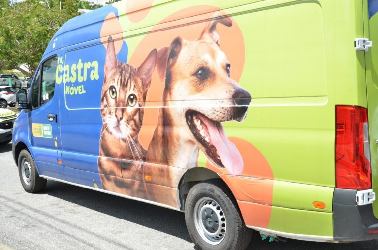 CASTRAMÓVEL inicia cirurgias de castração na Zona Leste de Campina Grande
