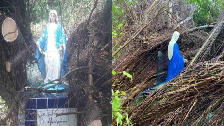 Árvore cai em cima de santuário, mas imagem de Nossa Senhora fica intacta em JP