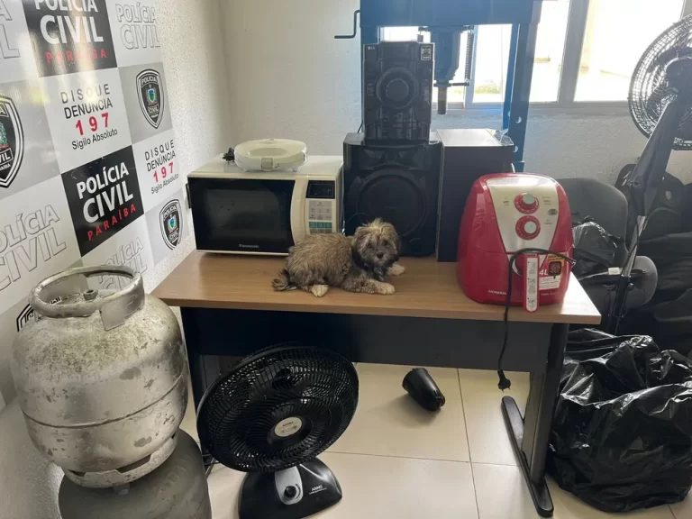 Cadela roubada durante assalto é resgatada pela polícia na PB