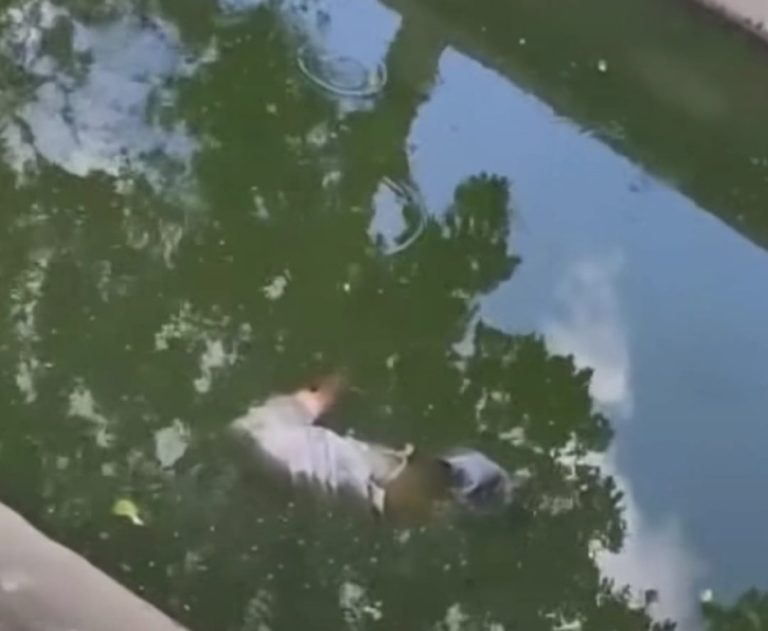 Corpo é encontrado boiando dentro de canal em CG