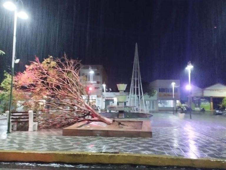 Fortes chuvas causam falta de energia, queda de árvore e alagamentos no Cariri paraibano