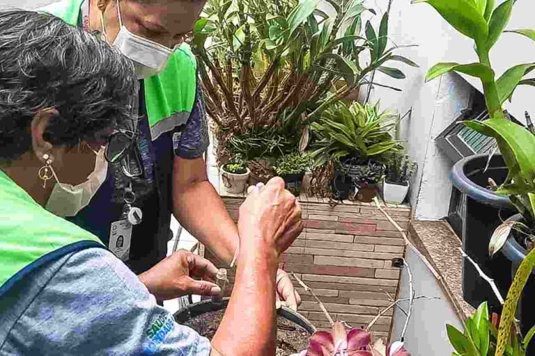 Mais de 20 bairros de CG estão sob alto risco de infestação por Aedes aegypti