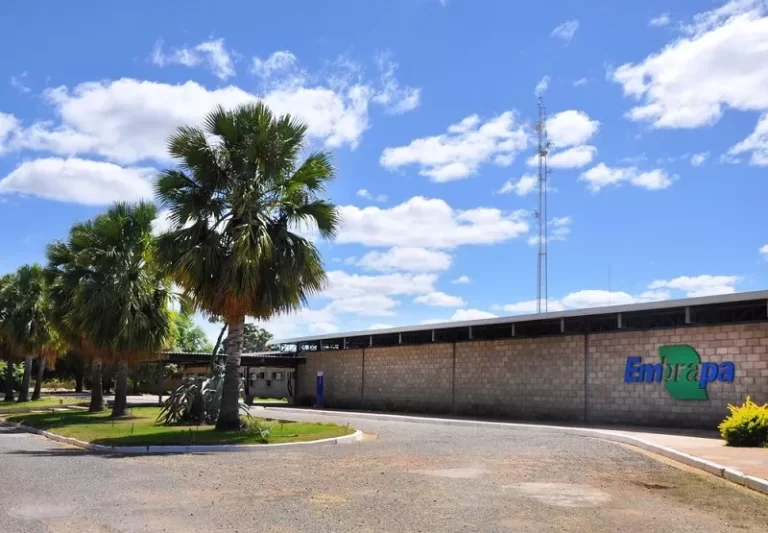 Justiça determina que MST desocupe fazenda da Embrapa em PE