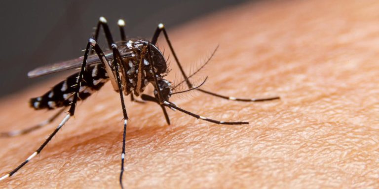 Paraíba confirma primeira morte por dengue em 2023