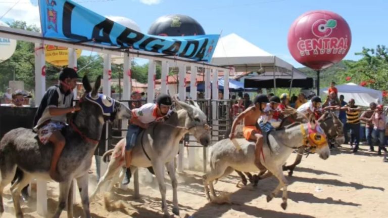 Justiça proíbe ‘corrida de jegues’ em munícipio da Paraíba