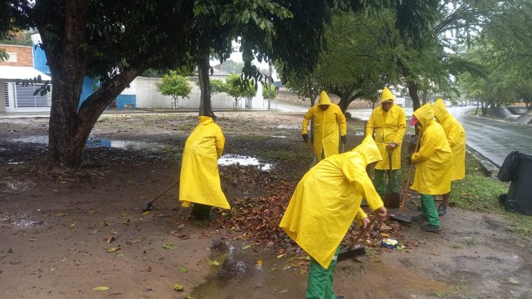 DIA DO GARI: Data será celebrada nesta terça-feira (16) no Parque do Povo