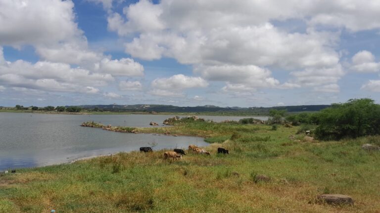 OPERAÇÃO PARALISADA: Mais de 20 cidades do Cariri paraibano sofrem sem carro-pipa