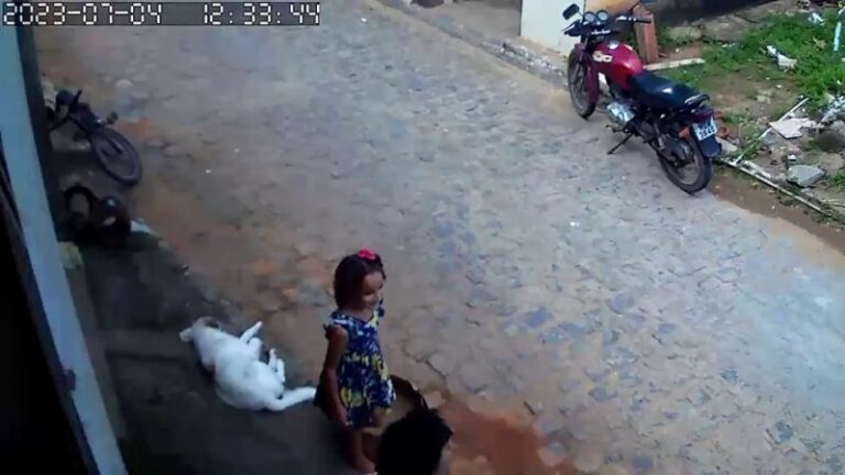 Polícia usa cães, drones e helicóptero para achar Ana Sophia, desaparecida há uma semana