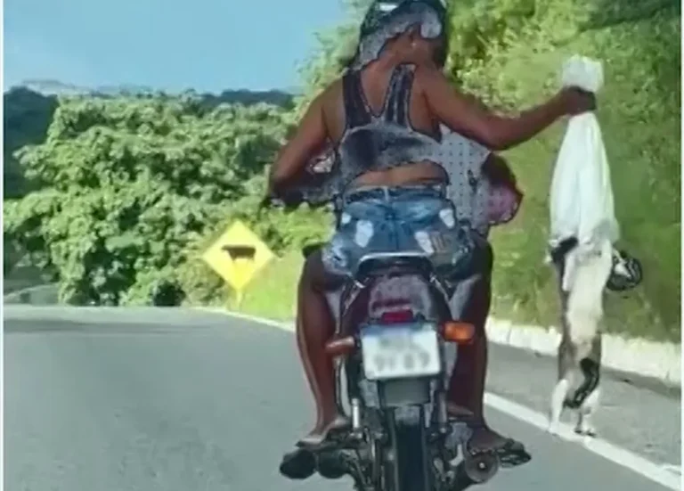 Casal suspeito de abandonar gatos em rodovia na PB é preso