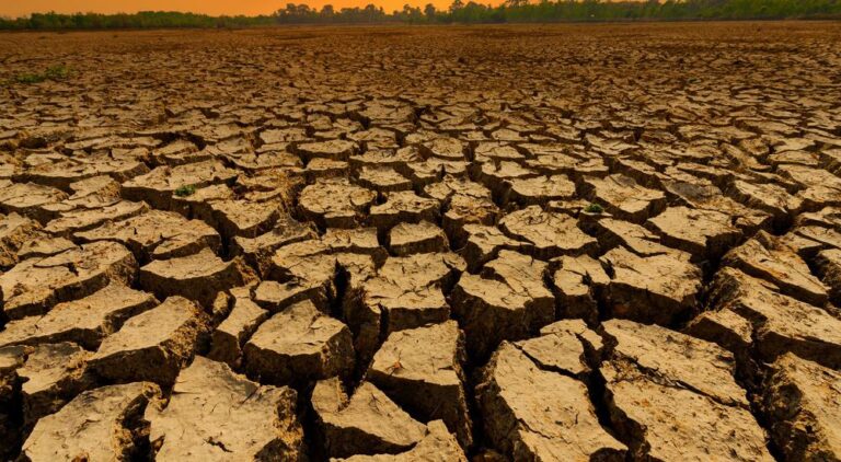 Temperatura mundial deve aumentar até 2,6°C, diz relatório da ONU
