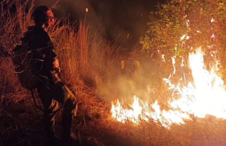 Força-tarefa tenta controlar incêndio no entorno de parque no Sertão da PB