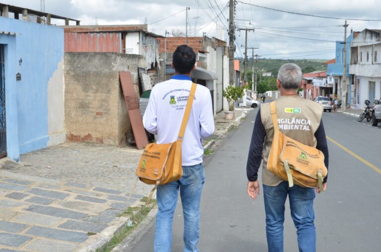 Índice de Infestação do Aedes aegypti cai para risco médio em Campina Grande
