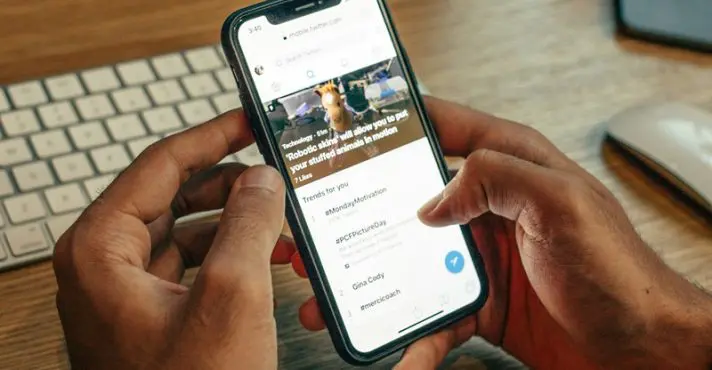 X, antigo Twitter, volta a funcionar no Brasil após 40 dias de bloqueio