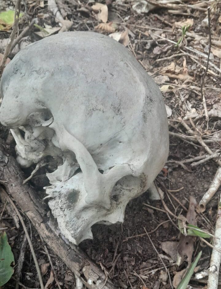 MISTÉRIO: Ossada humana é encontrada na zona rural de Puxinanã na manhã deste sábado