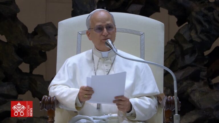 Papa Leão XIV pede fim da guerra de palavras e da polarização no mundo