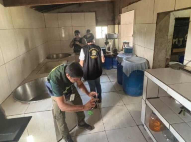 Queijeira clandestina é interditada no Brejo da Paraíba por condições sanitárias precárias