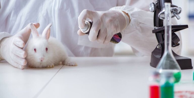 Câmara deve votar projeto que proíbe uso de animais em testes para cosméticos