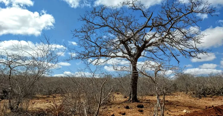Governo Federal reconhece situação de emergência em Boqueirão e Parari por causa da seca
