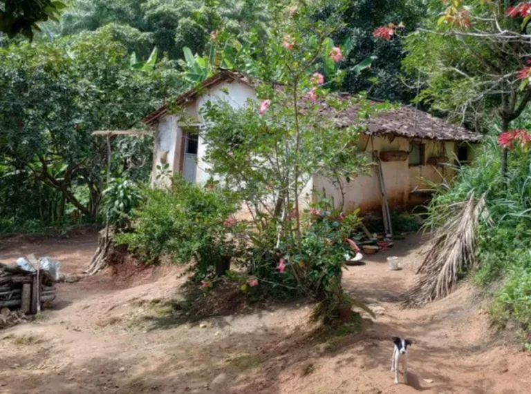Governo Federal autoriza desapropriação de terras de antigo engenho para regularizar território quilombola em Areia