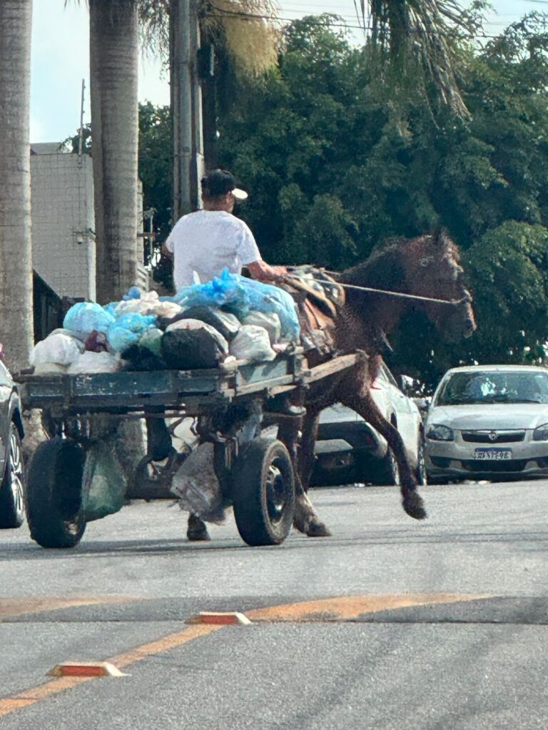 Imagem de carroceiro descartando lixo em terreno limpo causa revolta em Campina Grande